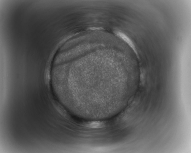 X0000088130059200706111414