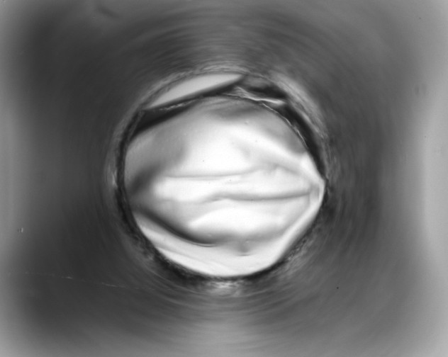 X0000088130060200706111414