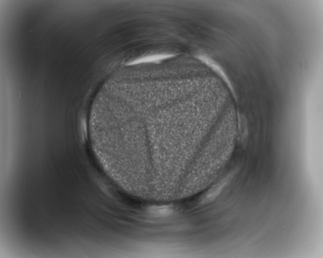 X0000088130061200706111415