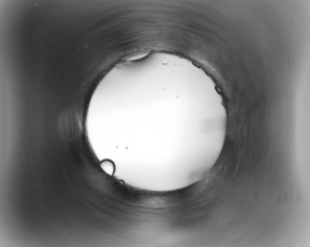 X0000088130062200706111415