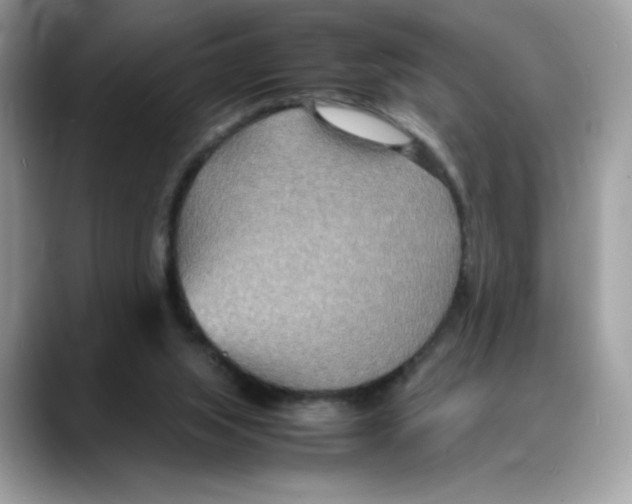 X0000088130063200706111415