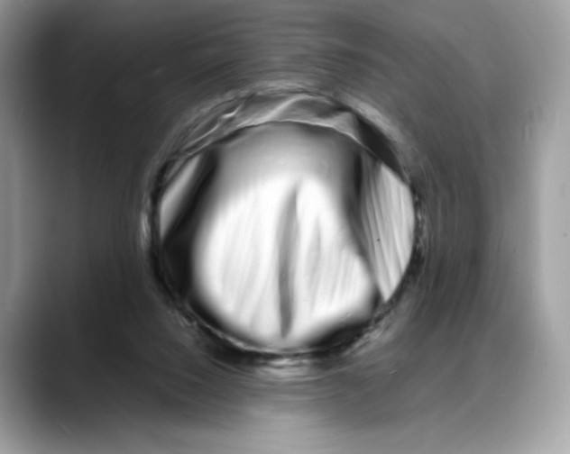 X0000088130064200706111415