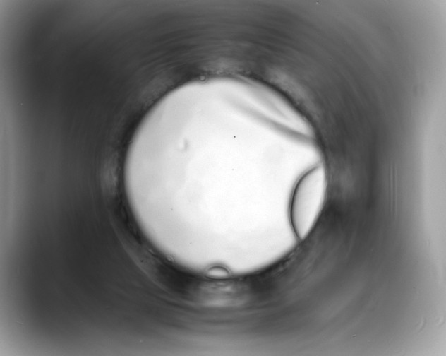 X0000088130065200706111415