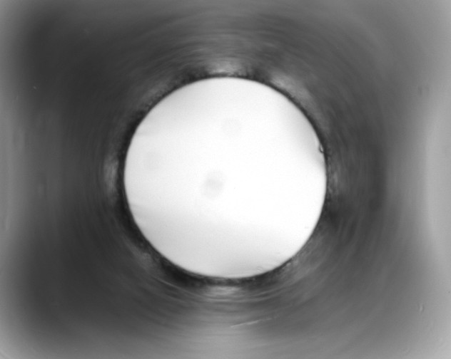 X0000088130066200706111415