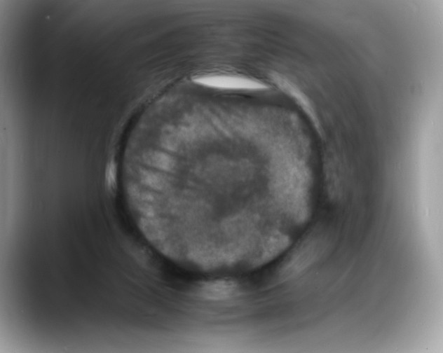 X0000088130067200706111415