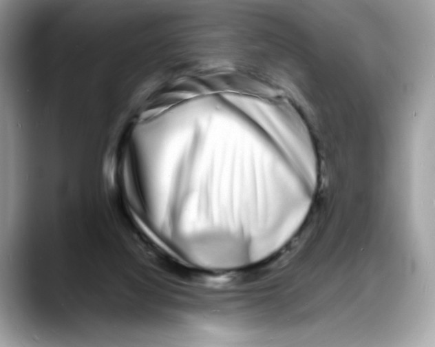 X0000088130068200706111415