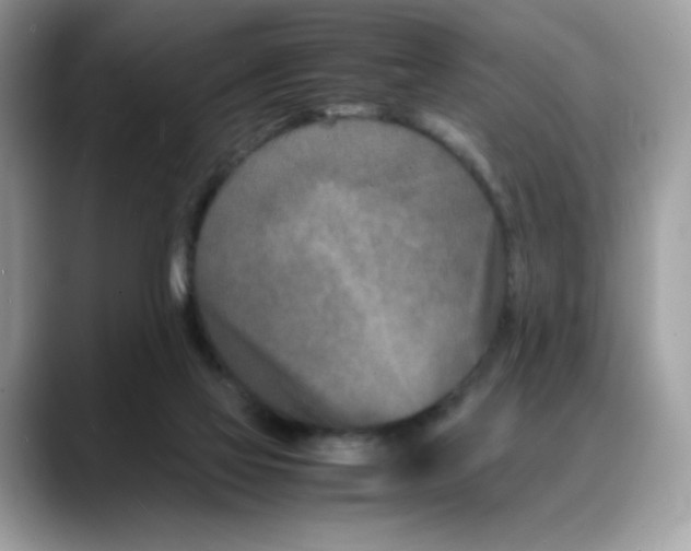 X0000088130069200706111415