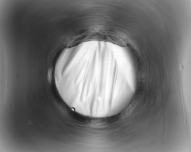 X0000088130070200706111415