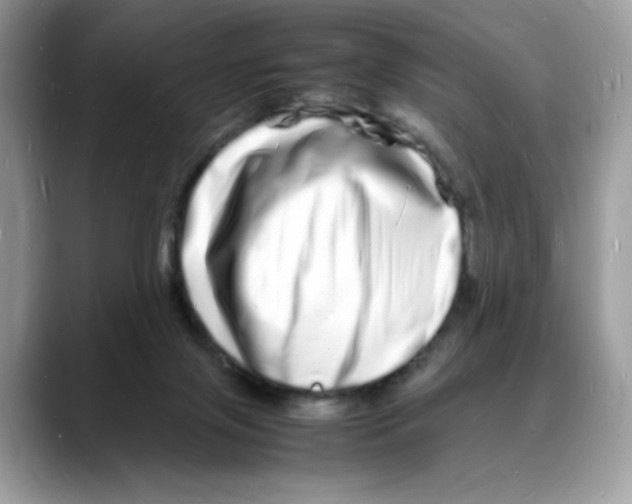 X0000088130071200706111415