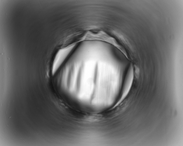 X0000088130072200706111415