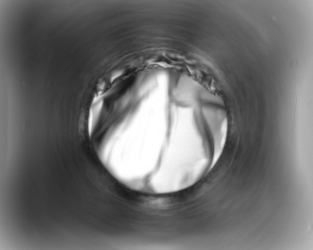 X0000088130073200706111415