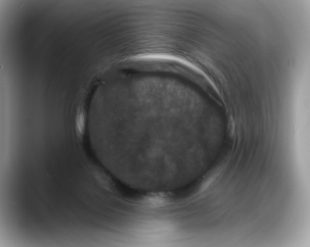 X0000088130076200706111415