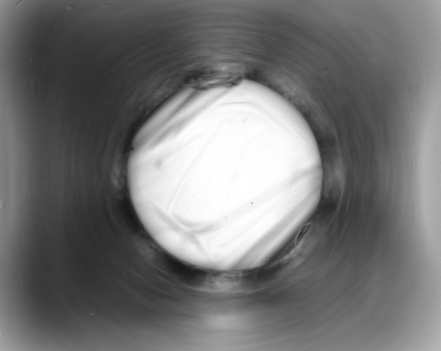 X0000088130078200706111415