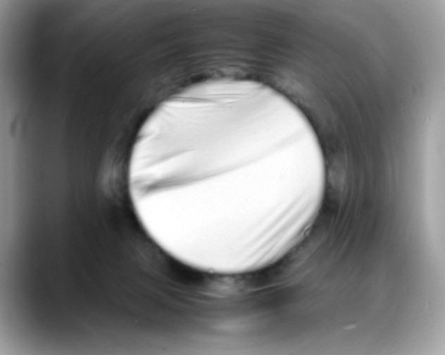 X0000088130079200706111415