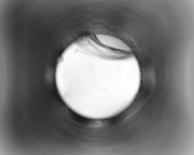 X0000088130083200706111415