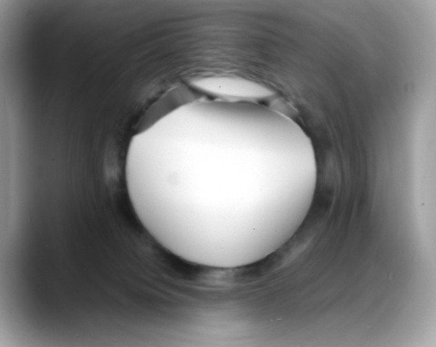 X0000088130084200706111415