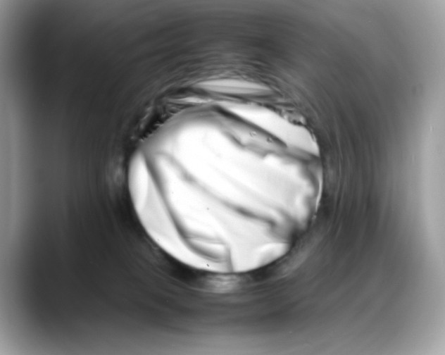 X0000088130085200706111415