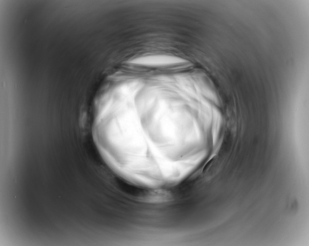 X0000088130087200706111415