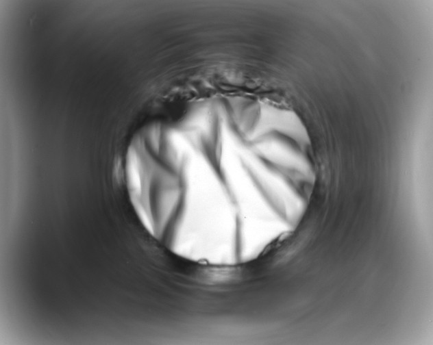 X0000088130089200706111415