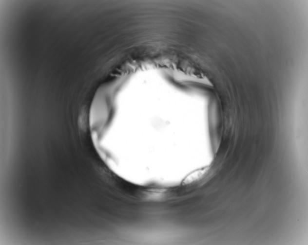 X0000088130090200706111415