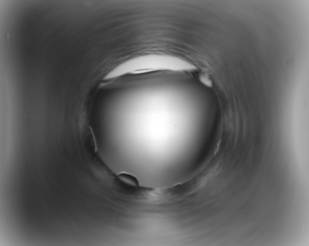 X0000088130092200706111415