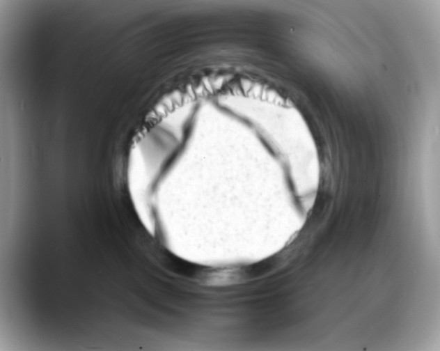 X0000088130093200706111415