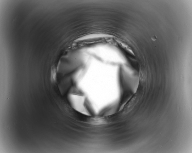 X0000088130095200706111415