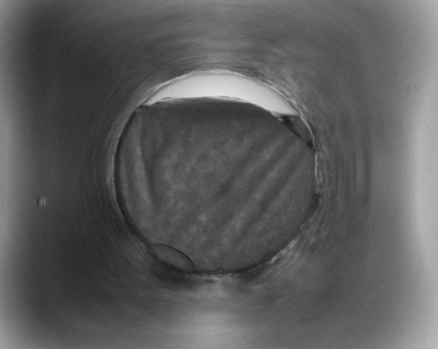 X0000088130099200706111414