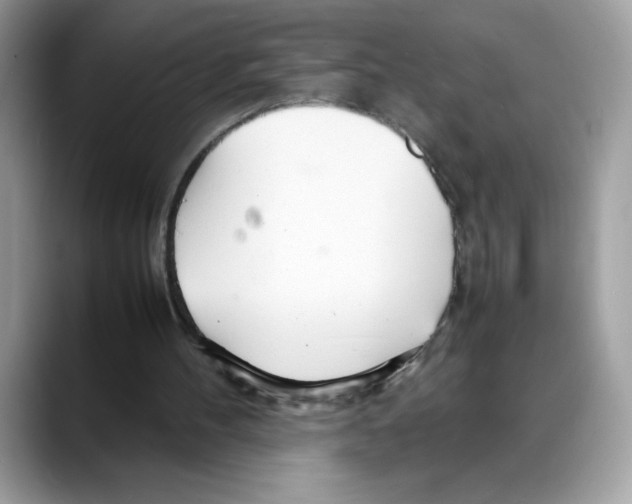 X0000088130100200706111414