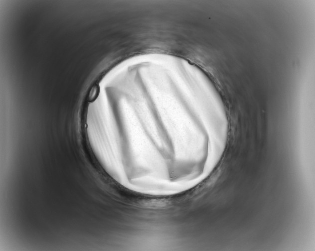 X0000088130102200706111414