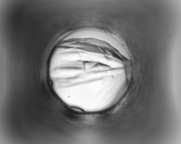 X0000088130103200706111414