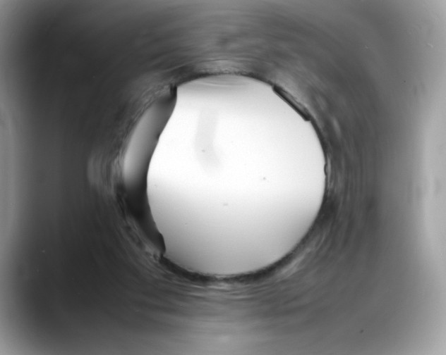 X0000088130109200706111414