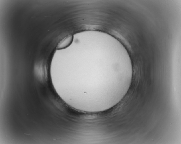 X0000088130110200706111414