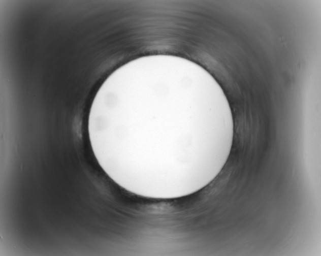 X0000088130112200706111414