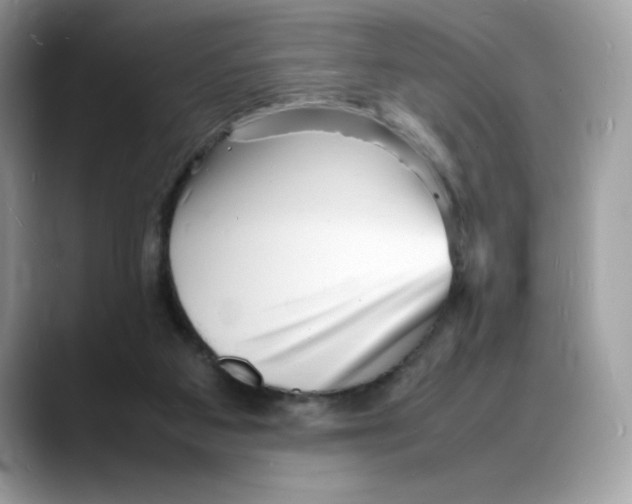 X0000088130113200706111414