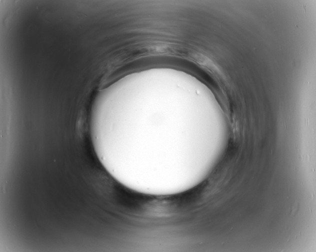 X0000088130119200706111414