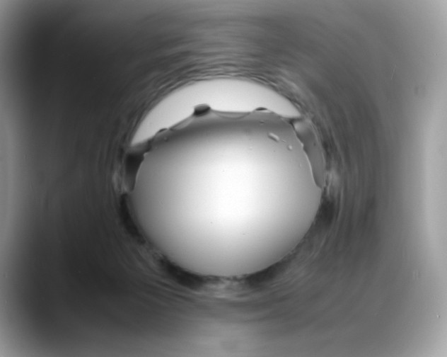 X0000088130125200706111414