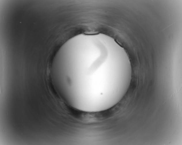 X0000088130129200706111414