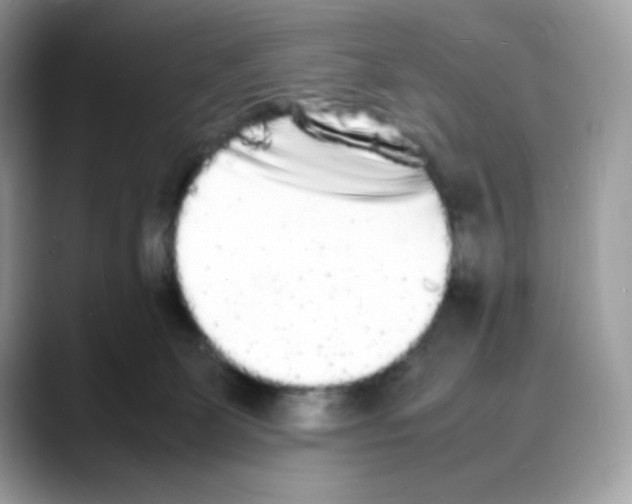 X0000088130131200706111414