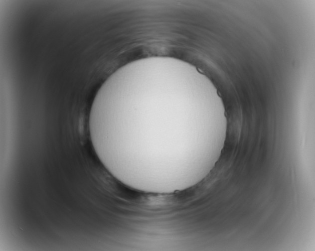 X0000088130134200706111414