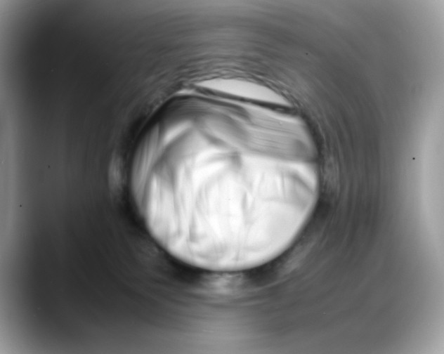 X0000088130135200706111414