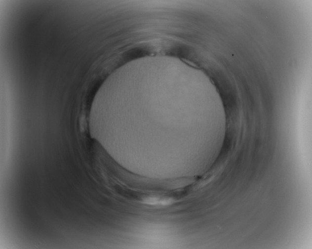 X0000088130137200706111414