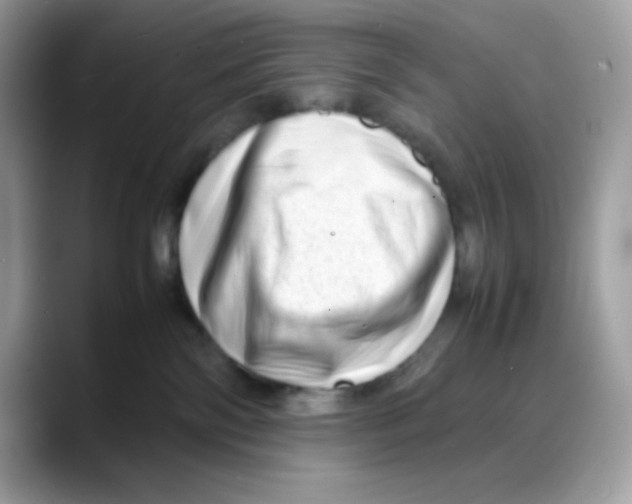 X0000088130138200706111414