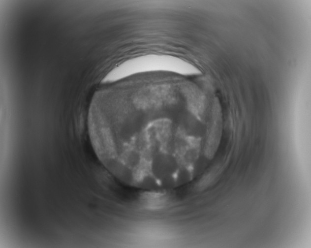 X0000088130139200706111414