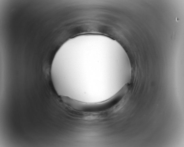 X0000088130141200706111414