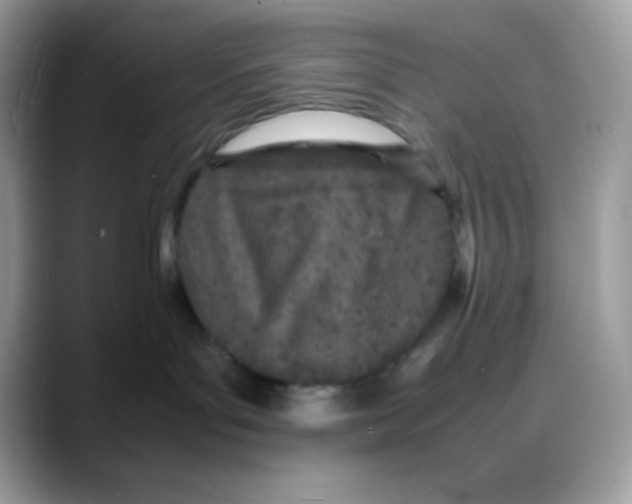 X0000088130143200706111414