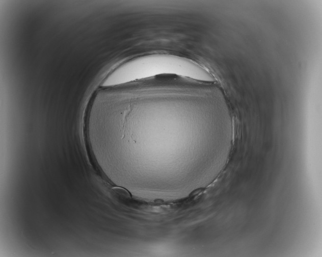 X0000088130147200706111413