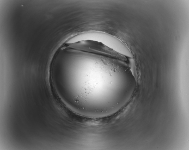 X0000088130148200706111413