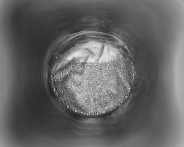 X0000088130149200706111413