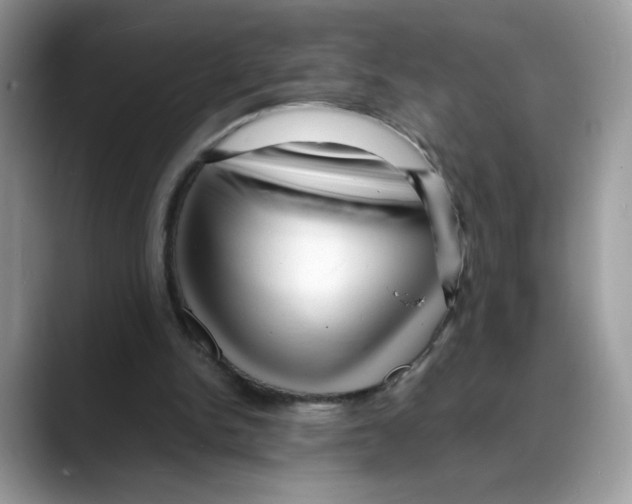 X0000088130150200706111413